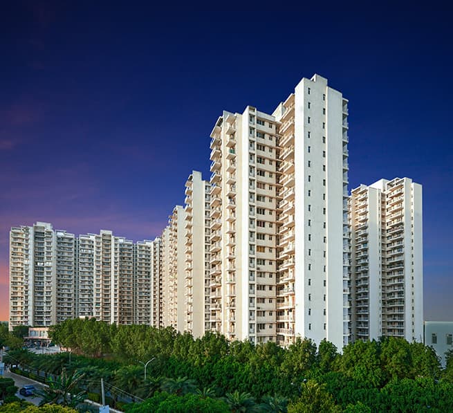 The Coralwood